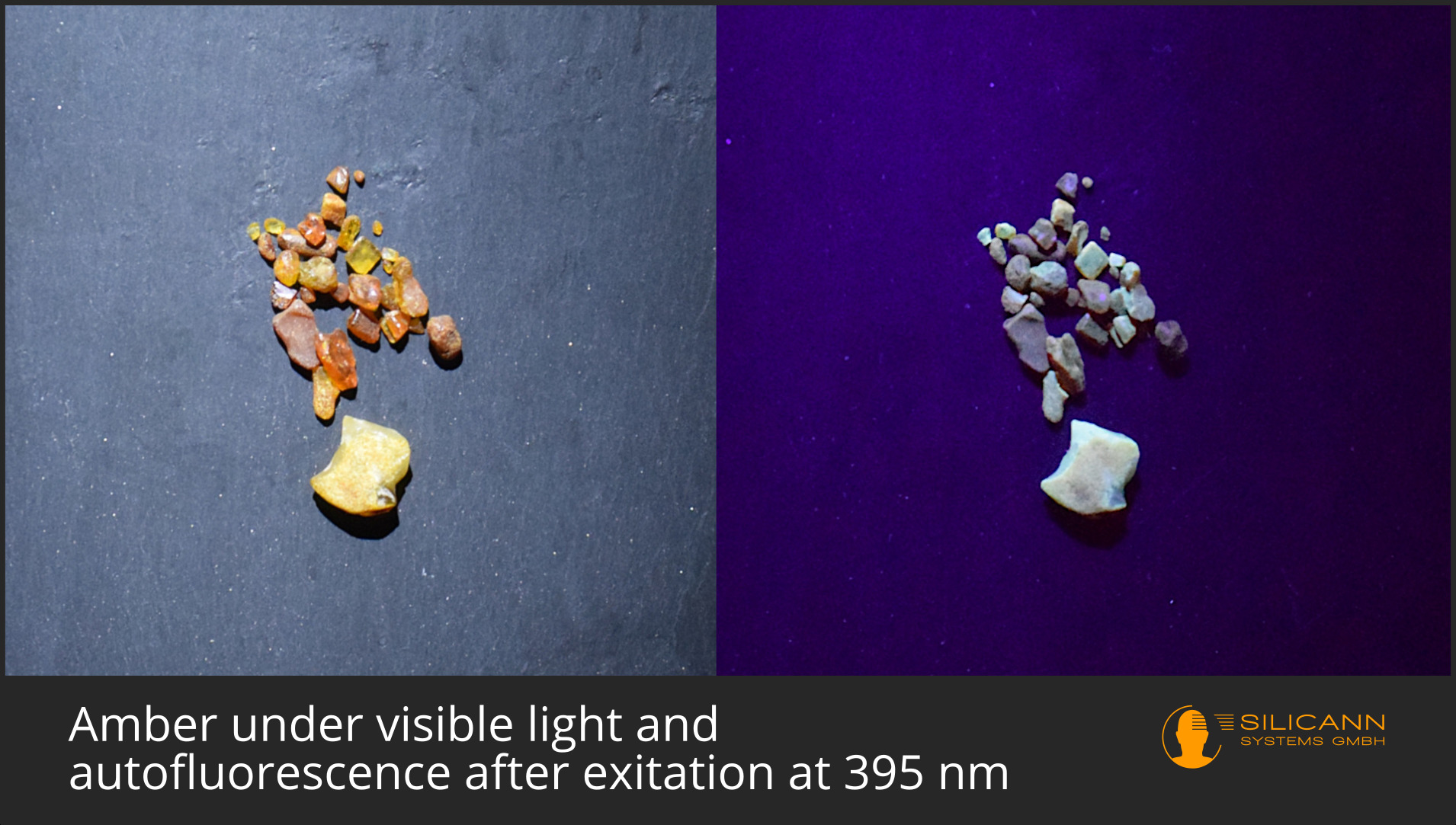 autofluorescence under black light