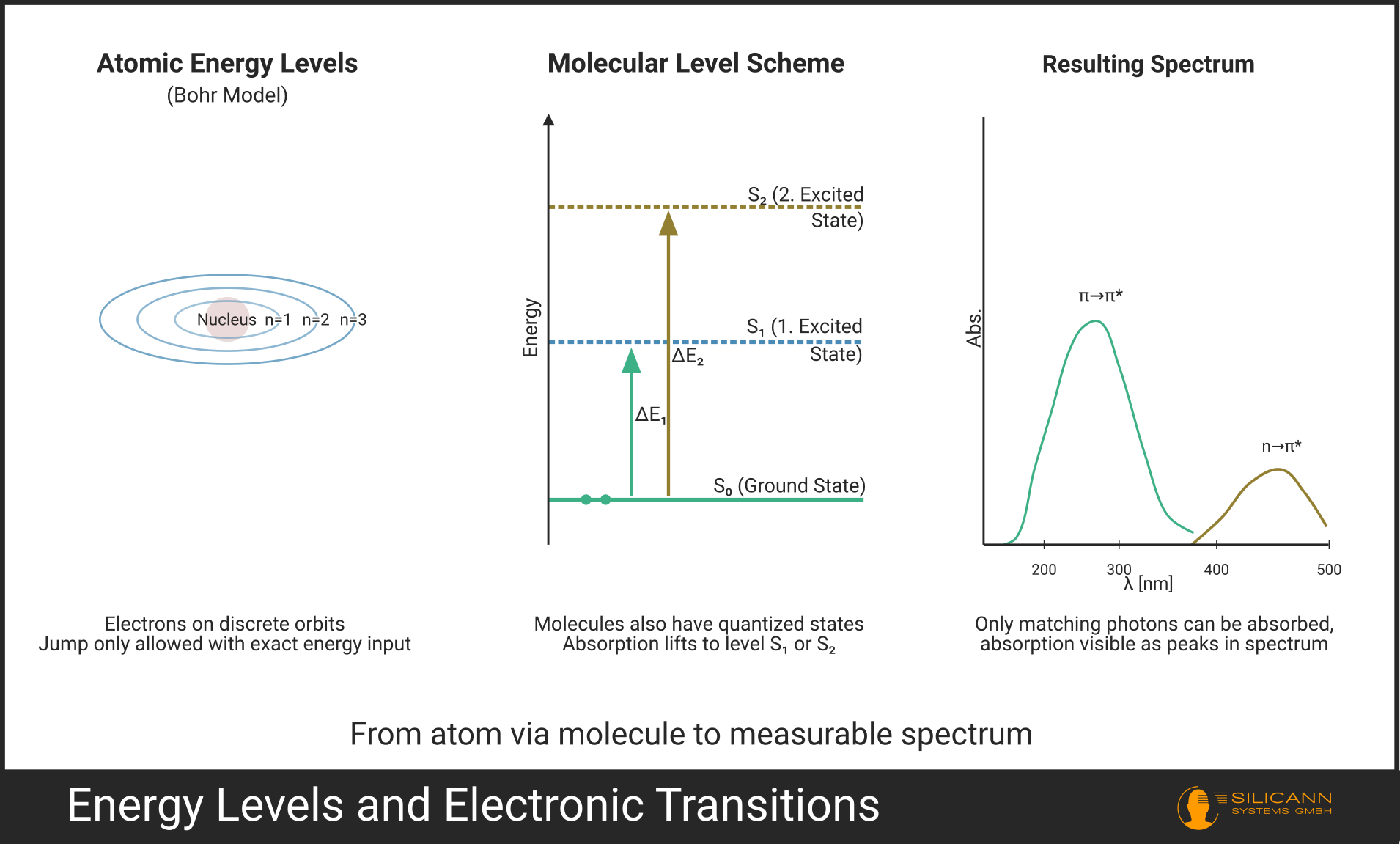 Energy level diagram of a molecule with electronic transitions drawn in. Only photons with precisely matching energy (ΔE) are absorbed.